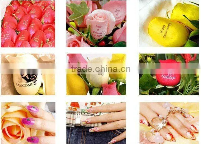 Hot Sale Perfect Functions and Highest Technology Style Flower Printer