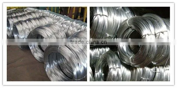 Electric Galvanized Iron Wire (factory)