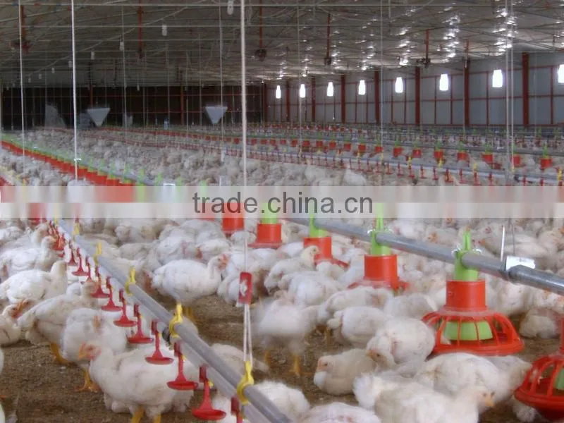 poultry feeding system