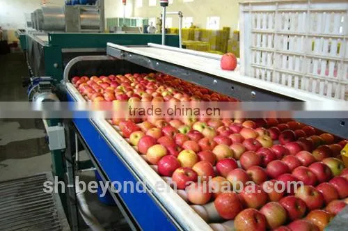 turnkey project of automatic Apple Processing plant