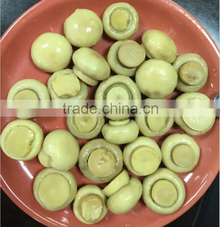 market prices for mushroom slice