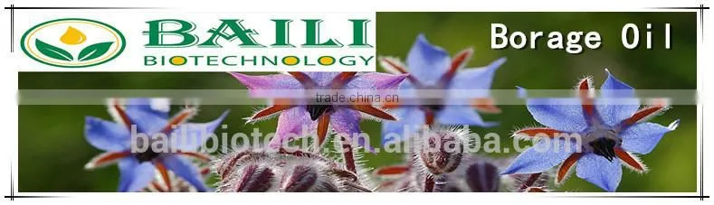 100% Pure Borage Seed Oil for healthcare