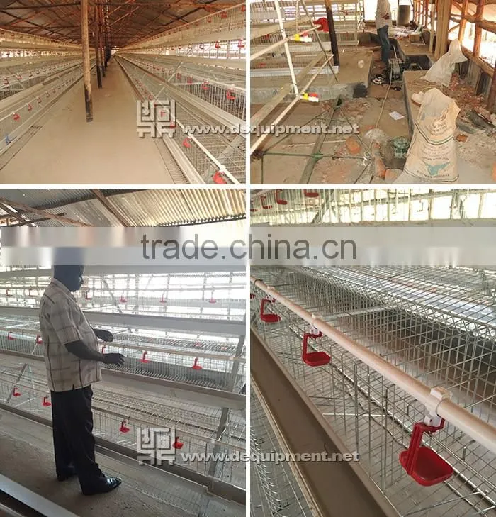 TA NO.1 factory kenya poultry farm