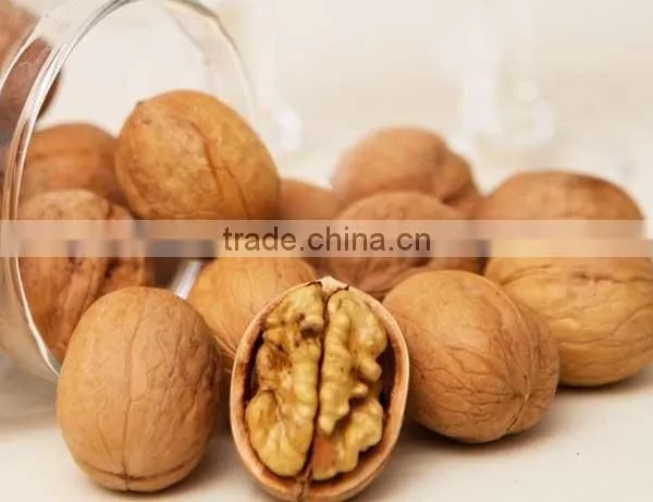 automatic walnut cracking machine for sale