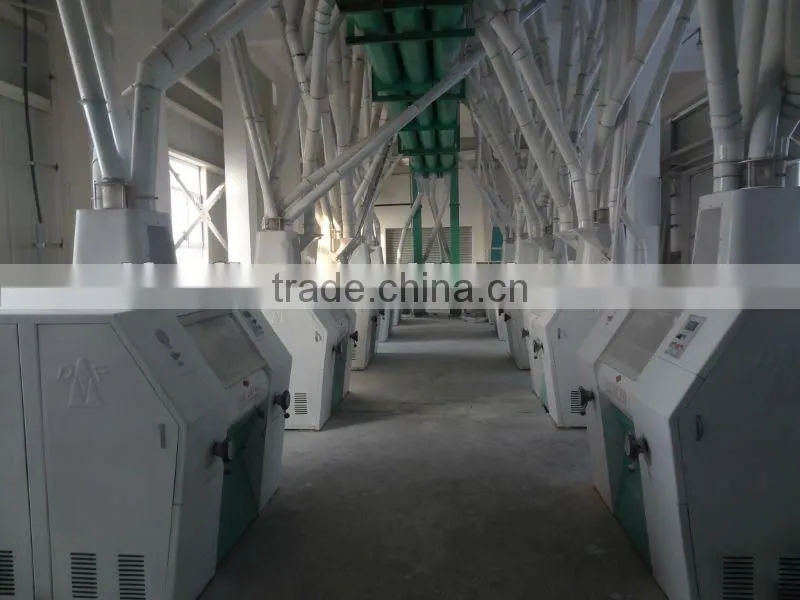 100-120t automatic wheat flour miller machine