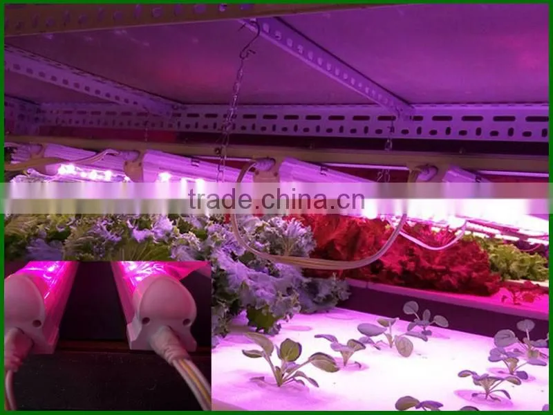 Best seller 20w led grow tube growing led light use in amsterdam