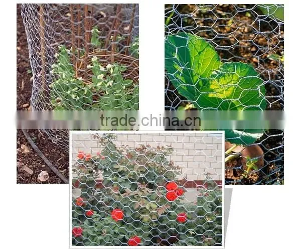 High Quality PVC/ Galvanized Hexagonal Wire Mesh For Chicken/Animal/Safety Fence