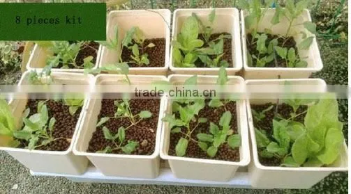 dutch bucket system
