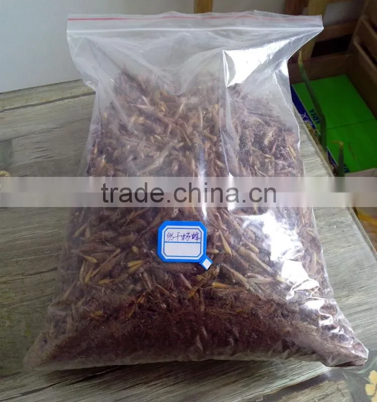pet food supplies animal feed dried grasshopper