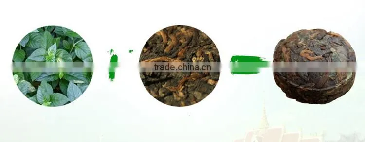 Gift Packing Chinese Mini Puer Tuo Cha Tea From Yunnan Province