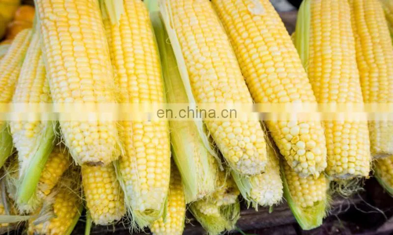 Trade Assurance Sweet Corn Sheller/Fresh Corn Threshing Machine/Fresh Corn Thresher