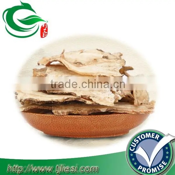 supply angelica not extract