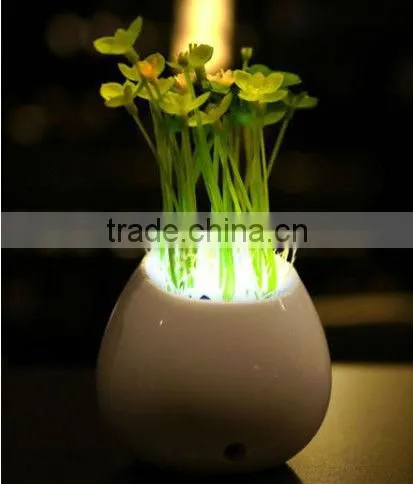 ShenZhen Potted Plants LED Night Light