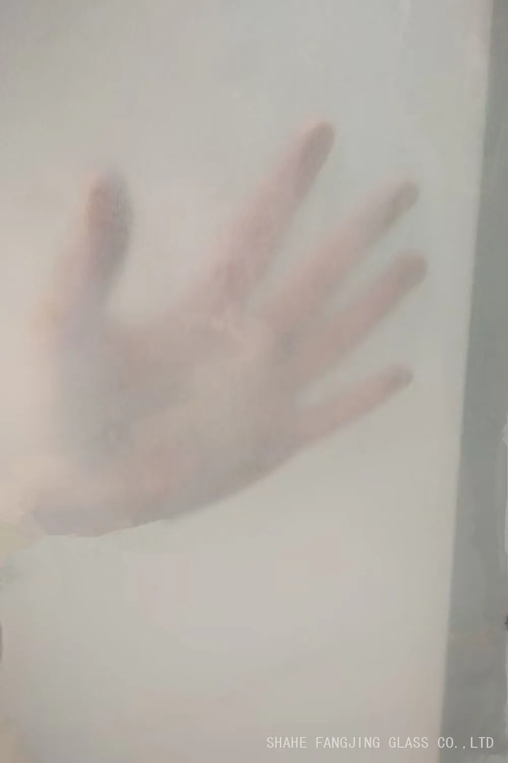 微信图片_20260307203224_253_178.jpg.webp