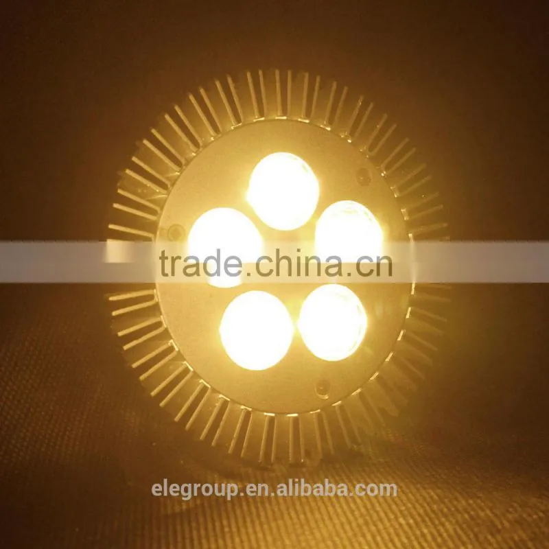 Factory price!High power PAR30 led bulb light