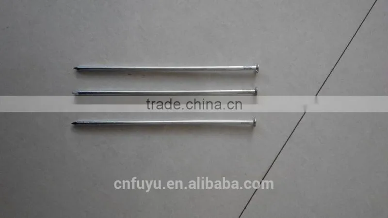 polished iron material common round nail factory