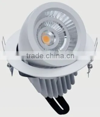Ronse 30W aluminum recessed led trunk lamp adjustable (RS-F501C)