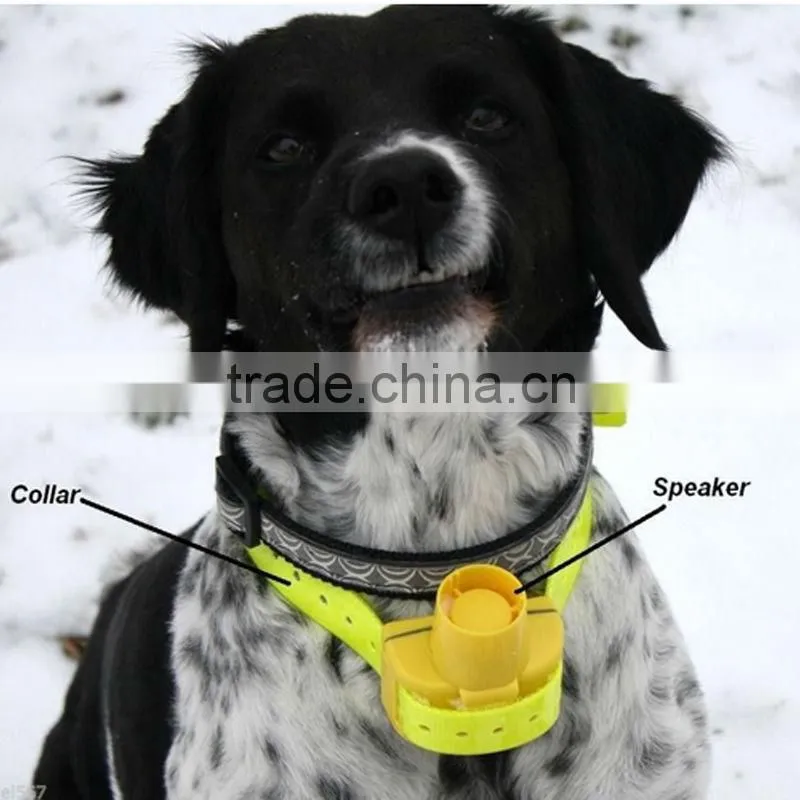 Top hot sale waterproof durable TPU coated webbing dog collar