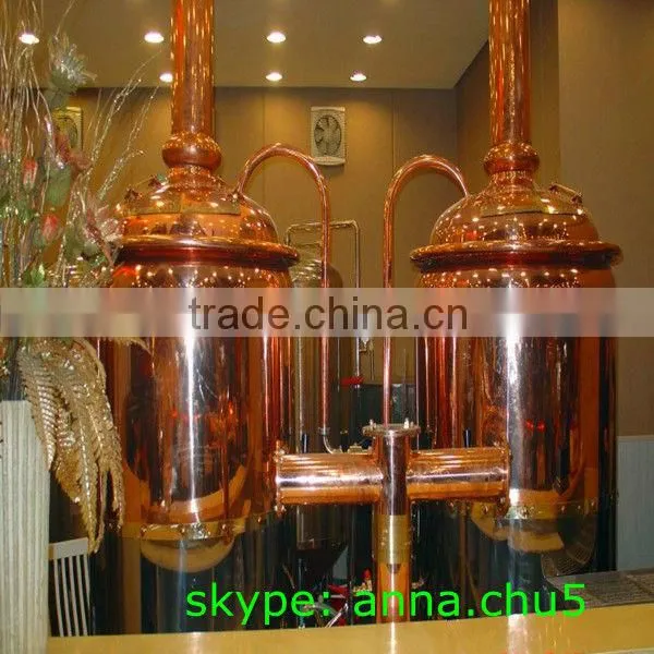 100L mini brewery equipment