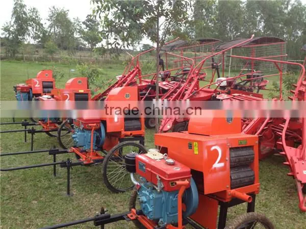 6BZ-5 Mini sugarcane machine leaf cutter easy operation sugarcane leaf remove