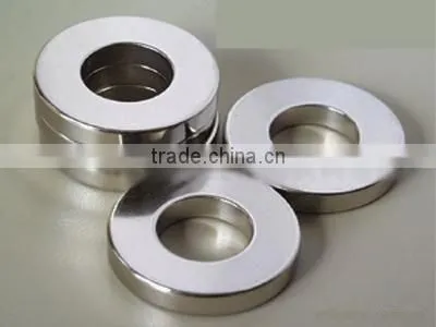 Ring rare earth magnet