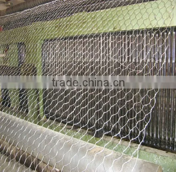 Cheap Galvanized Hexagonal Wire mesh