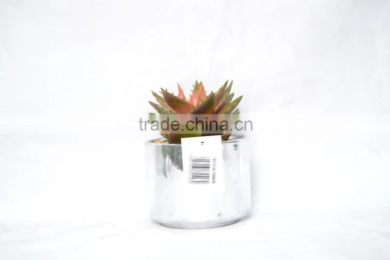 Mini Artificial succulent plants with plastic pot for indoor decoration