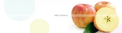 Yantai red fuji apple