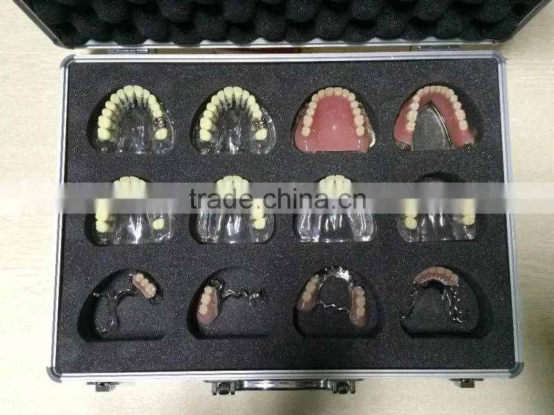 Integrated Denture Model Teaching Demonstration