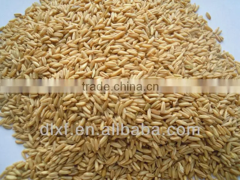 oat/peeless oat