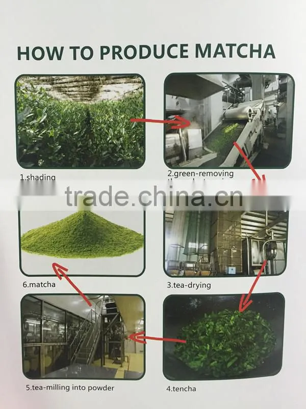 Matcha Private Label OEM Service