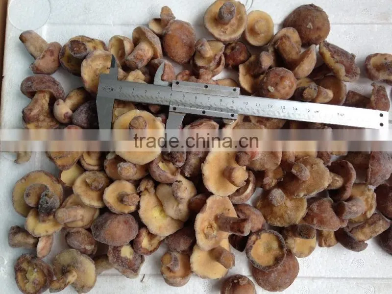 IQF SUILLUS GRANULATUS