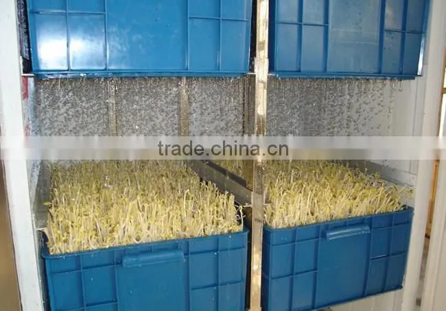 automatic bean sprout machine/bean sprout growing machine