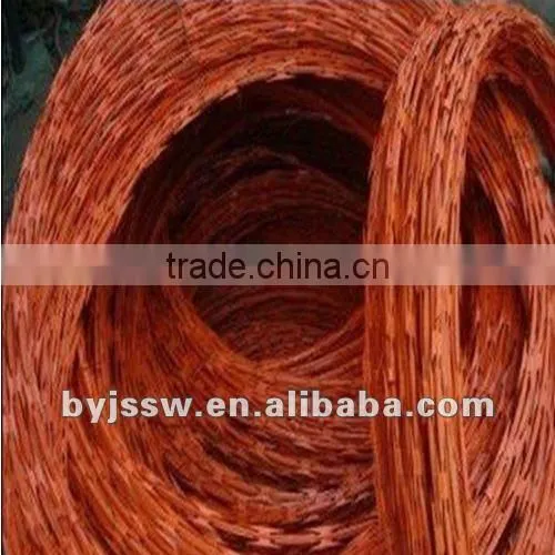 plastic razor barbed wire(BTO-22,CBT-65)( factory )
