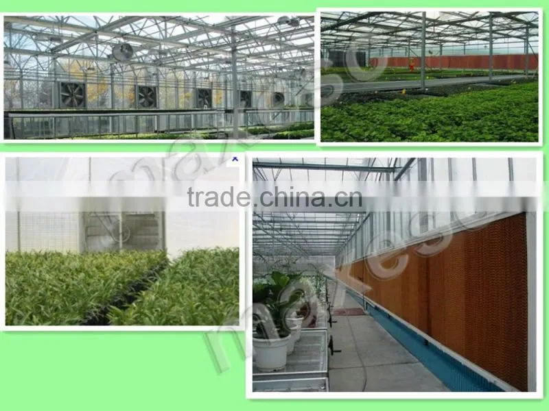 outdoor green house fan poultry farm fan