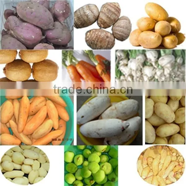 Energy-saving vegetable peeling and washing machine