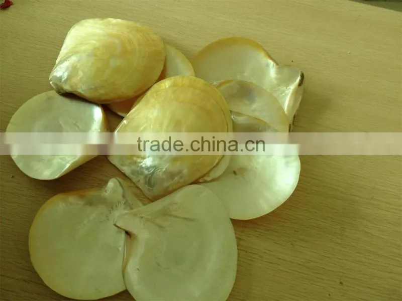 laminated yellow lip mother of pearl veneer sheet for jewelry inlay