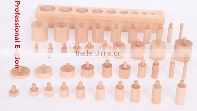 Teaching AIDS Wooden educational toys montessori Cylinders blocks