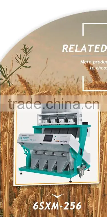 CHINA plastics color sorter manufacturer/plastic flakes color sorter/PP plastics sorting machine