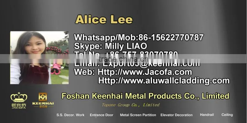 Customed Luxury Stainless Steel Grill Front Door