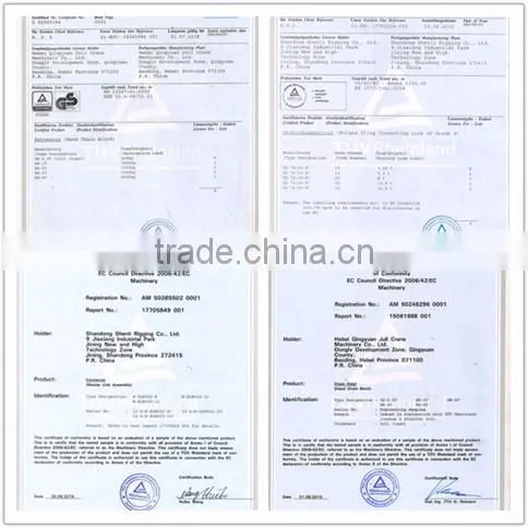 1t to 10t Overhead Crane Using OCS Weighing Crane Scale
