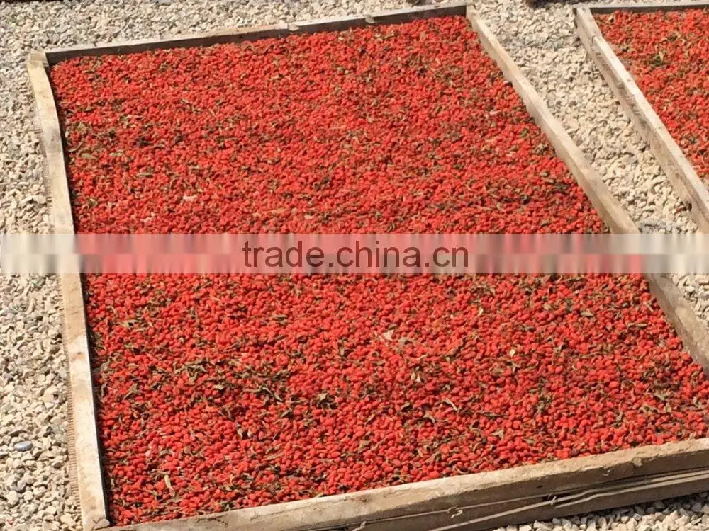 Chinese Dried Goji Berries - Dried Goji Berries - Goji Berries