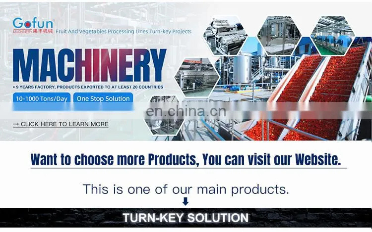 Multifunctional fruit vegetable tomato paste production line filling machine