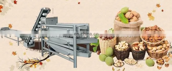 Pecans Walnut classifier grader sorter Huller Sheller Processing Machine Line machine
