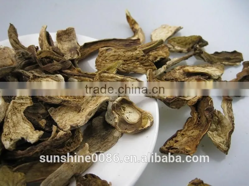 Dried Mushroom