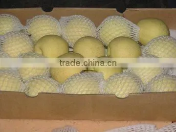 chinese fresh ya pear