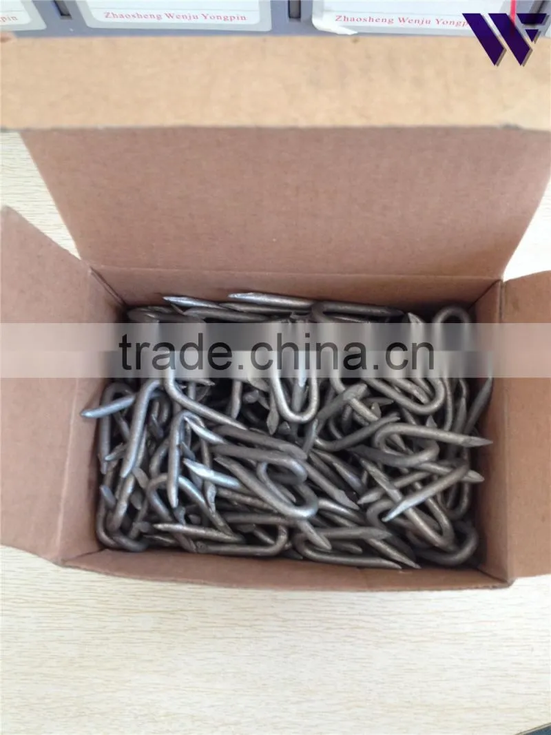 fence staple factory price