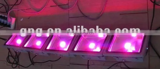 High Intensity Die-casting Aluminum Tri-color 100W LED Flood Light IP65 Manufacturer