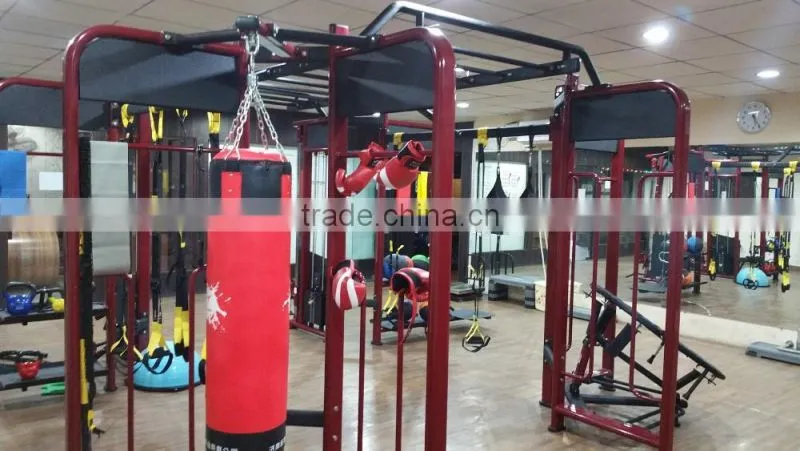 Luxury Fitness Equipment /arm exercise machine / TZ-6013 Biceps Machine