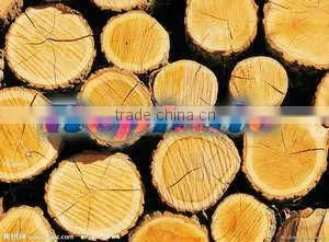 Energy Saving Timber Splitter for Cutting Wood Automatically